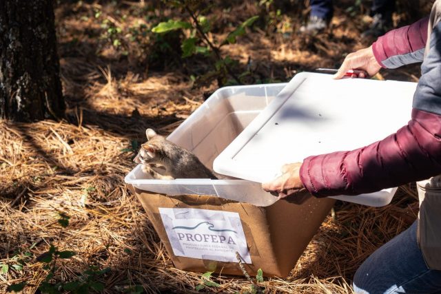 WhatsApp Image 2025-12-01 at 4.07.38 PM (2)