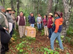 Pachuca lidera liberación de tigrillo y zorras grises en Parque Nacional Los Mármoles