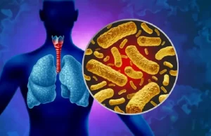 SE FUE EL AÑO, PERO NO LA TOSFERINA