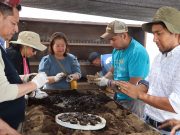 Hidalgo fortalece su política ambiental con participación ciudadana y acciones de reforestación