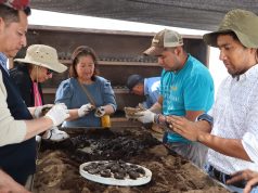 Hidalgo fortalece su política ambiental con participación ciudadana y acciones de reforestación