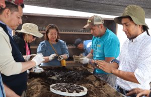 Hidalgo fortalece su política ambiental con participación ciudadana y acciones de reforestación