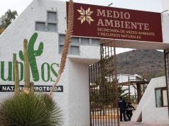 A través del centro de acopio en el PEC, el gobierno de Hidalgo impulsa el reciclaje