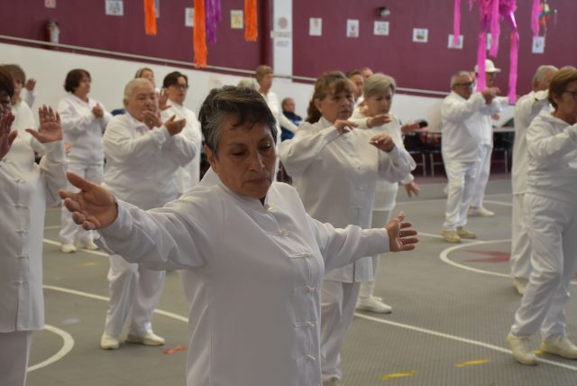 Boletín 517 CGI y Casas de Día (3) (1)