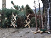 En Hidalgo se impulsa la prevención en materia ambiental con “Regrésalo a la Tierra, Cierra el Ciclo”