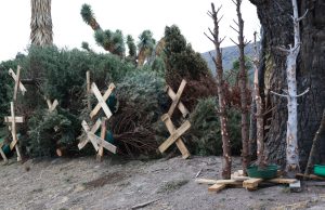 En Hidalgo se impulsa la prevención en materia ambiental con “Regrésalo a la Tierra, Cierra el Ciclo”
