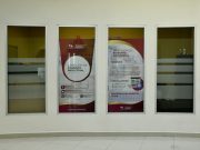 Incrementar la formalidad comercial en Tulancingo con apoyo del SARE, fortalece el desarrollo económico