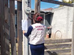 Exhorta Dirección de Medio Ambiente a erradicar violencia y maltrato animal en Tulancingo