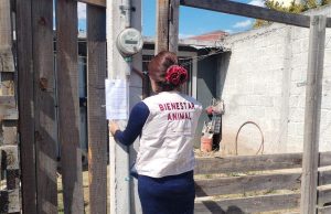 Exhorta Dirección de Medio Ambiente a erradicar violencia y maltrato animal en Tulancingo