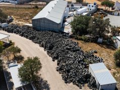 Pachuca impulsa acciones ambientales con el programa Llantatón