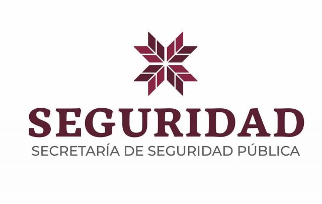 seguridad (1)