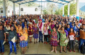Impulsa gobierno de Hidalgo programa “Guardianas de Vida” para preservar la medicina tradicional