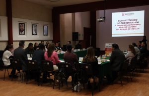 Sesiona Comité Técnico de Coordinación a Favor de las Personas Adultas Mayores