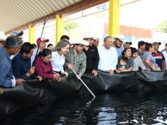 Con capacitación, gobierno de Hidalgo fortalece al sector acuícola y pesquero