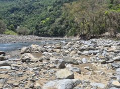 Inicia SIPDUS desazolve del río Tlacolula