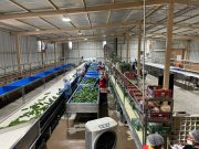 Visitan a trabajadores hidalguenses en empresa de Sonora