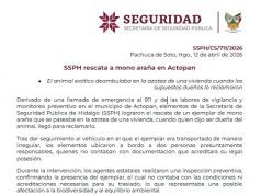 Pronostican lluvias fuertes en Hidalgo; llaman a extremar precauciones y prevenir riesgos