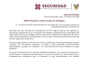 Pronostican lluvias fuertes en Hidalgo; llaman a extremar precauciones y prevenir riesgos