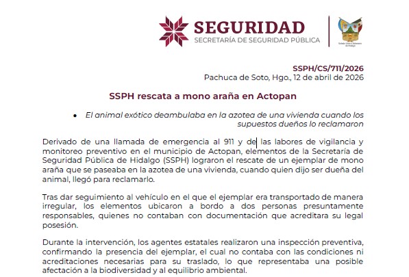 Captura de pantalla 2026-04-12 151038