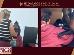 SSPH rescata a mono araña en Actopan