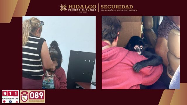 EJEMPLAR_ASEGURADO (1)