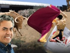 AVELINO TOVAR, ATACA A LA FIESTA BRAVA EN HIDALGO, PERO OCULTA CON CUAHTÉMOC OCHOA, SU ECOCIDIO EN CHOLULA