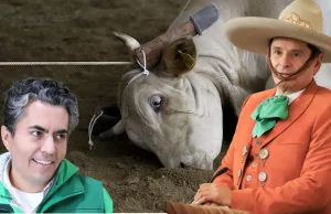 MUTIS DE AVELINO, ANTE LA VIOLENTA CHARRERÍA, PRACTICADA POR SU SOCIO Y CENTAURO DE CARTÓN, CUAUHTÉMOC OCHOA