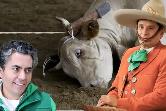 MUTIS DE AVELINO, ANTE LA VIOLENTA CHARRERÍA, PRACTICADA POR SU SOCIO Y CENTAURO DE CARTÓN, CUAUHTÉMOC OCHOA