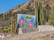 KOUA: espacio ideal para el turismo de aventura en Hidalgo