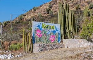 KOUA: espacio ideal para el turismo de aventura en Hidalgo