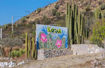 KOUA: espacio ideal para el turismo de aventura en Hidalgo