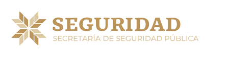 seguridad_1