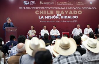 Julio Menchaca y el IMPI protegen producción del chile rayado de La Misión
