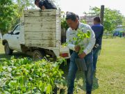 GOBIERNO DE HUEJUTLA FORTALECE COMPROMISO AMBIENTAL CON CAMPAÑA PERMANENTE DE REFORESTACIÓN