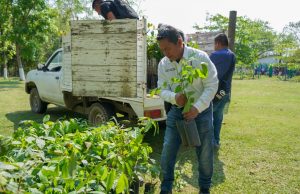 GOBIERNO DE HUEJUTLA FORTALECE COMPROMISO AMBIENTAL CON CAMPAÑA PERMANENTE DE REFORESTACIÓN