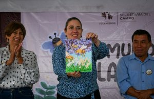 Reconocen creatividad infantil y promueven cuidado de las abejas en Tulancingo