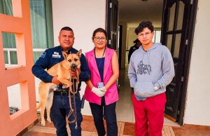 Atienden reporte por abandono de caninos en domicilio de Pachuca