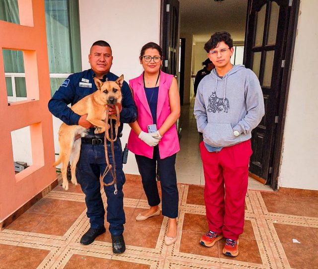 caninopachuca