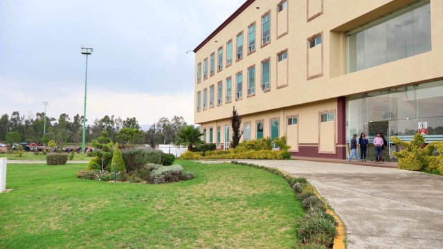 tulancingo jardinera