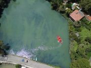 HIDALGO RECUPERA LA PRESA AZUL: RETIRAN MÁS DE MIL TONELADAS DE LIRIO ACUÁTICO EN HUASCA