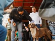 Más de 7 mil servicios veterinarios impulsan el bienestar animal en Pachuca durante 2026
