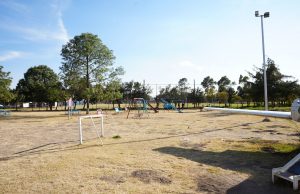 Factible en Hidalgo adoptar modelo de Ciudades Esponja: Miguel Tello