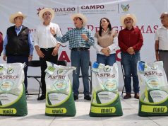 Del suelo al agua: Hidalgo impulsa la productividad del campo con análisis de suelo y crías de peces