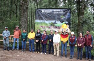 Gobierno de Hidalgo conmemora el 44 aniversario del Parque Nacional El Chico con jornada masiva de reforestación