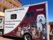 Tulancingo fortalece el bienestar animal con nuevos servicios veterinarios