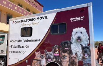 Tulancingo fortalece el bienestar animal con nuevos servicios veterinarios