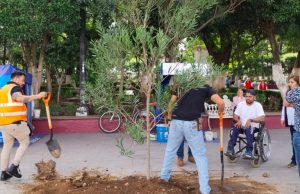 Tulancingo impulsa la reforestación urbana con especies adecuadas para la ciudad