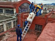 Retiro y reemplazo de tanques de gas LP en el Mercado Municipal Gilberto Gómez