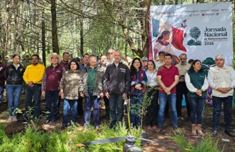Julio Menchaca entrega dos millones de plantas para reforestar los 84 municipios