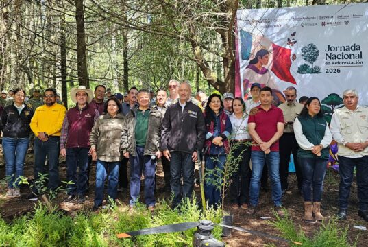 Julio Menchaca entrega dos millones de plantas para reforestar los 84 municipios